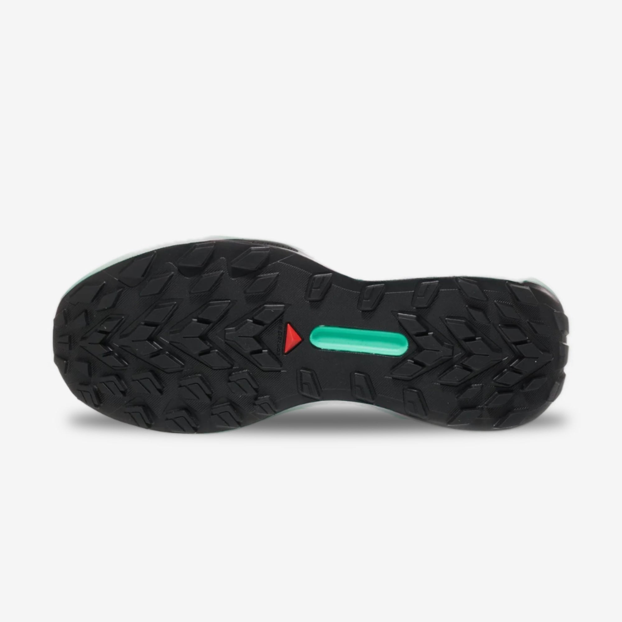 Salomon Genesis