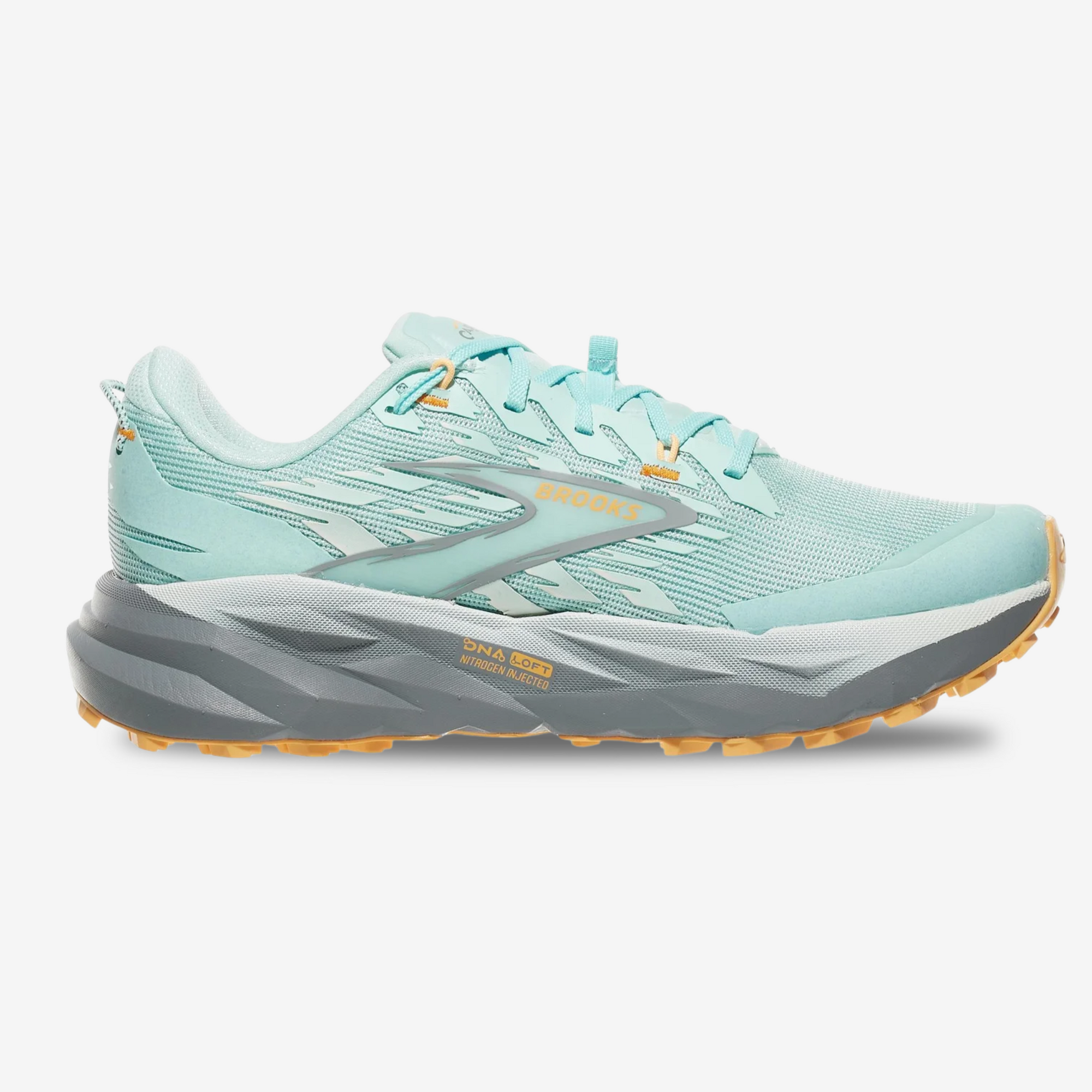 Brooks Cascadia 19
