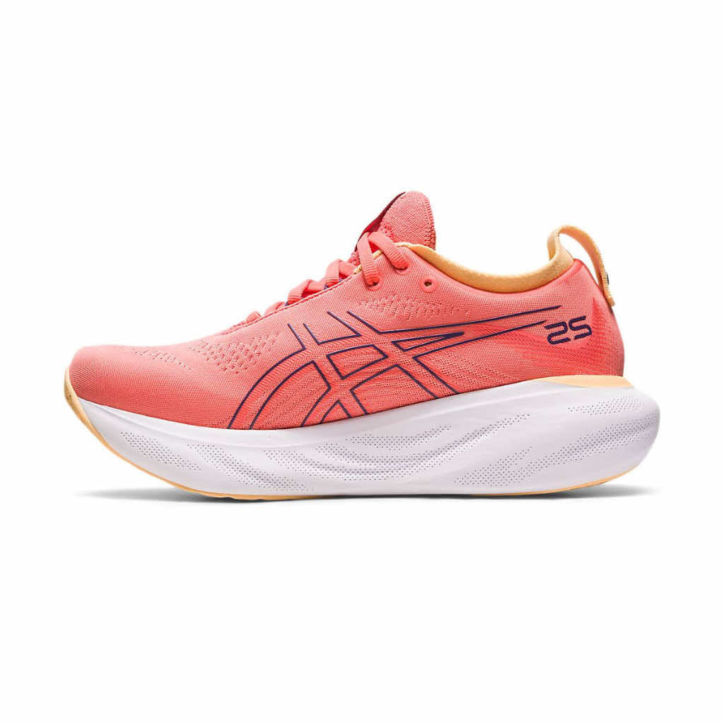 Asics Gel-Nimbus 25