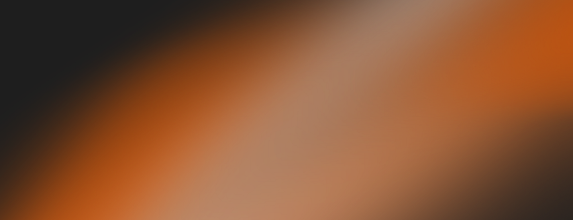 BLACK FRIDAY - UP TO 40% OFF