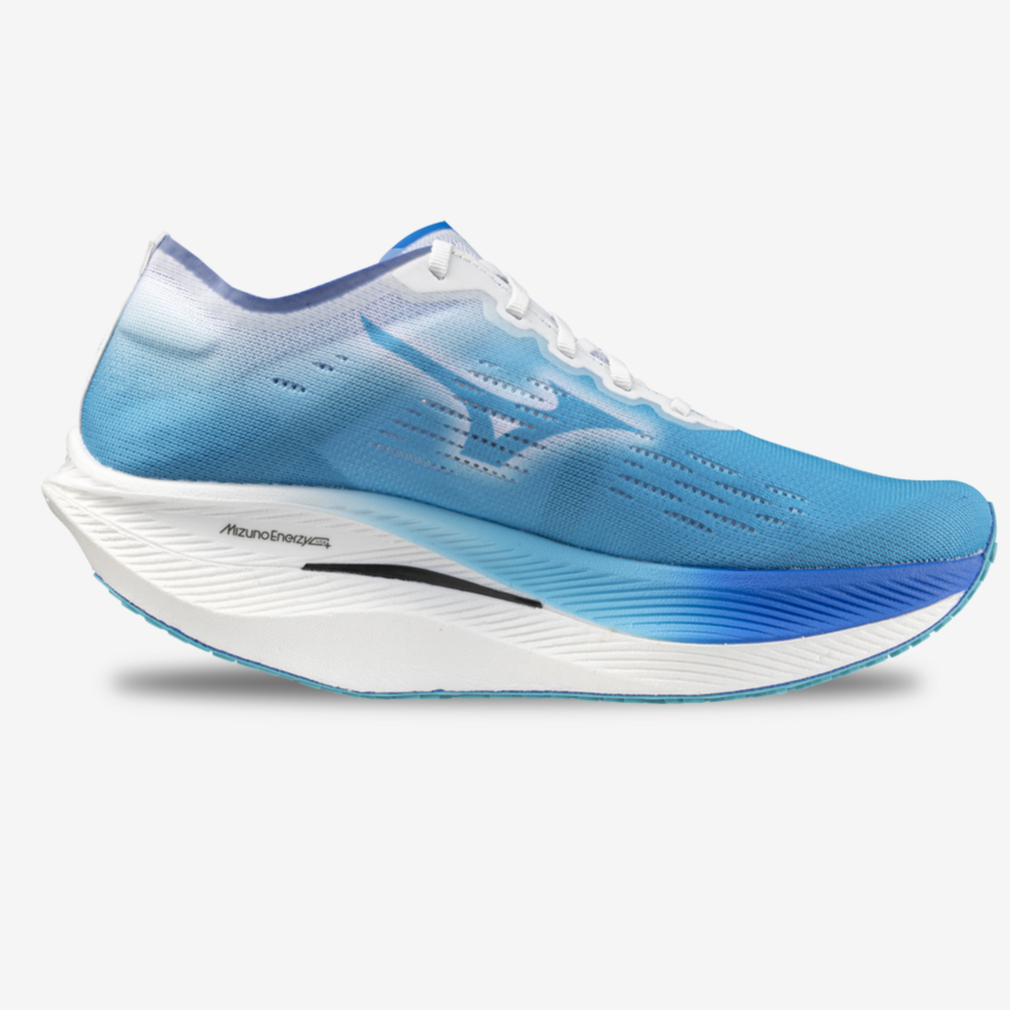 Mizuno Wave Rebellion Pro 2