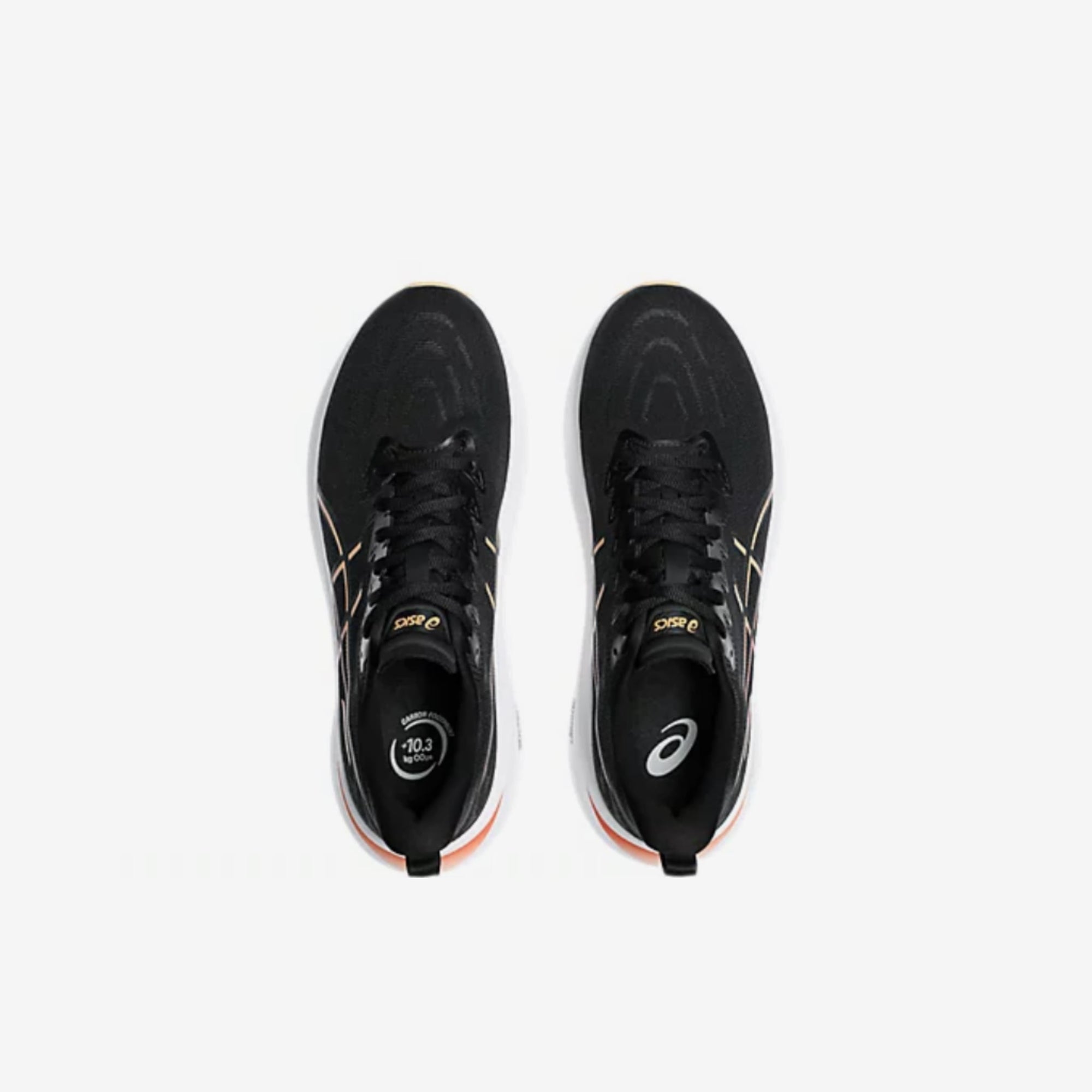 Asics GT 2000 v13