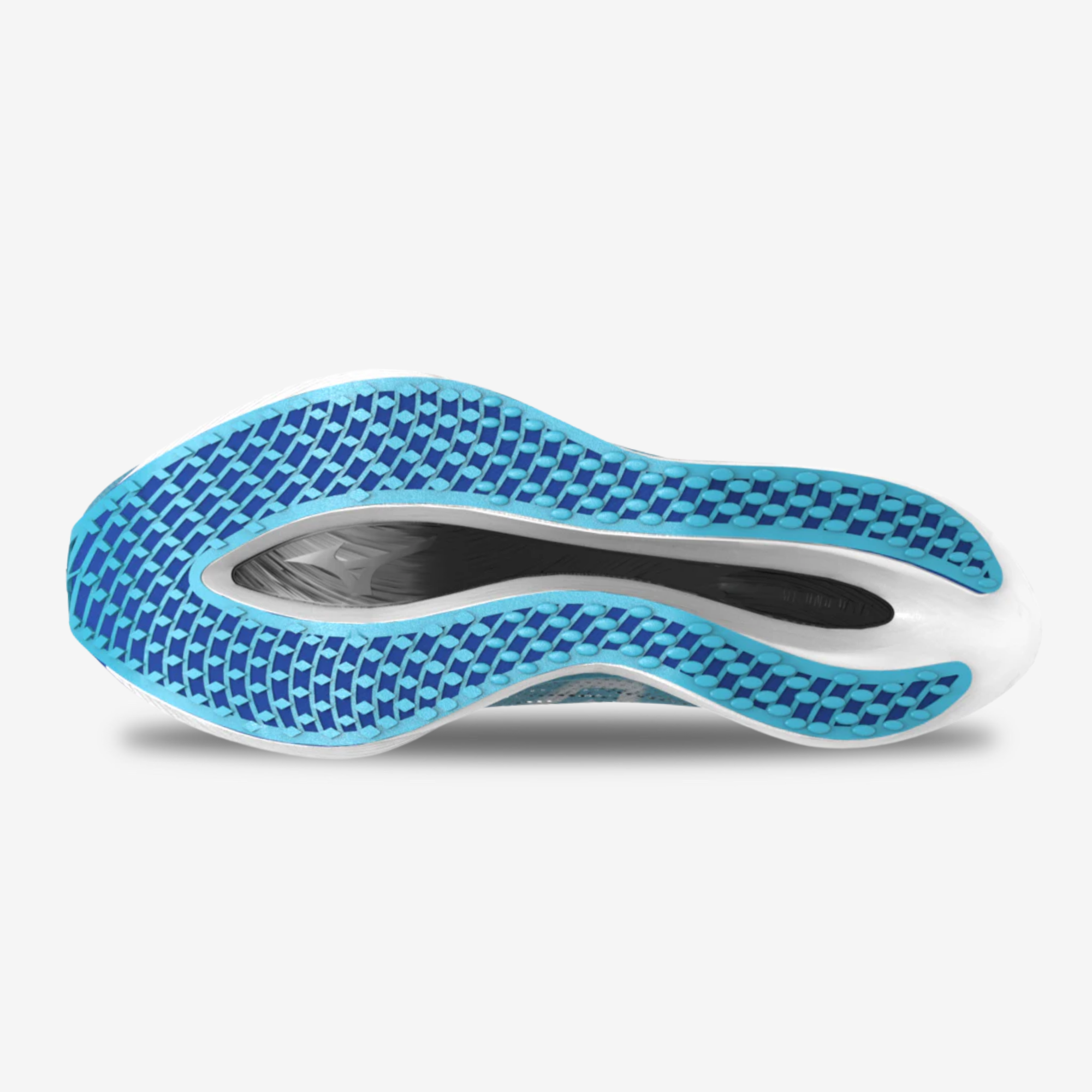 Mizuno Wave Rebellion Pro 2