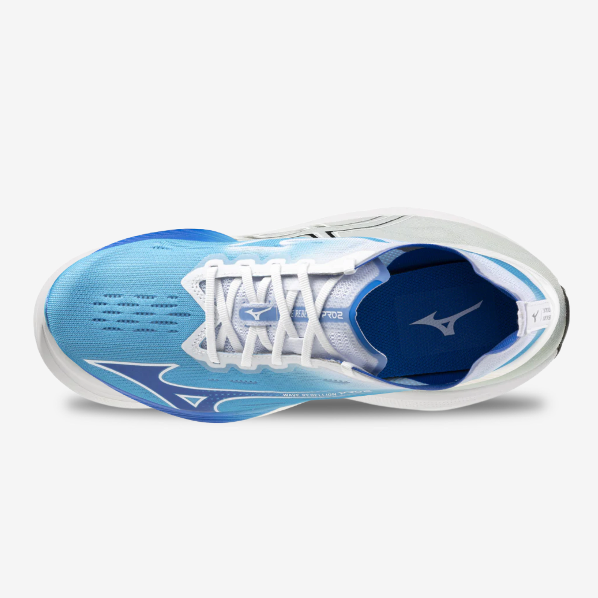 Mizuno Wave Rebellion Pro 2